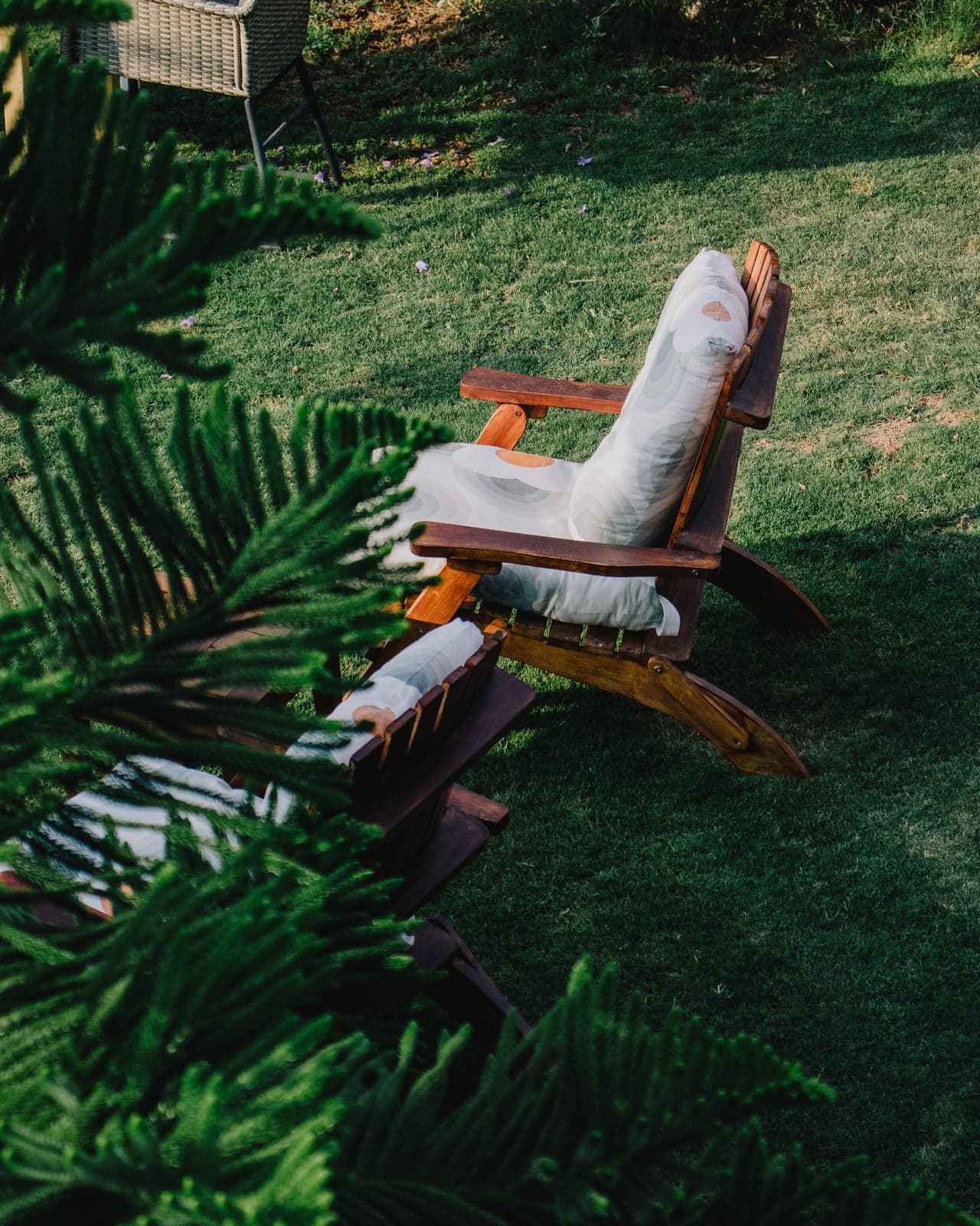 Le jardin de Dans le Jardin, baigne de lumiere