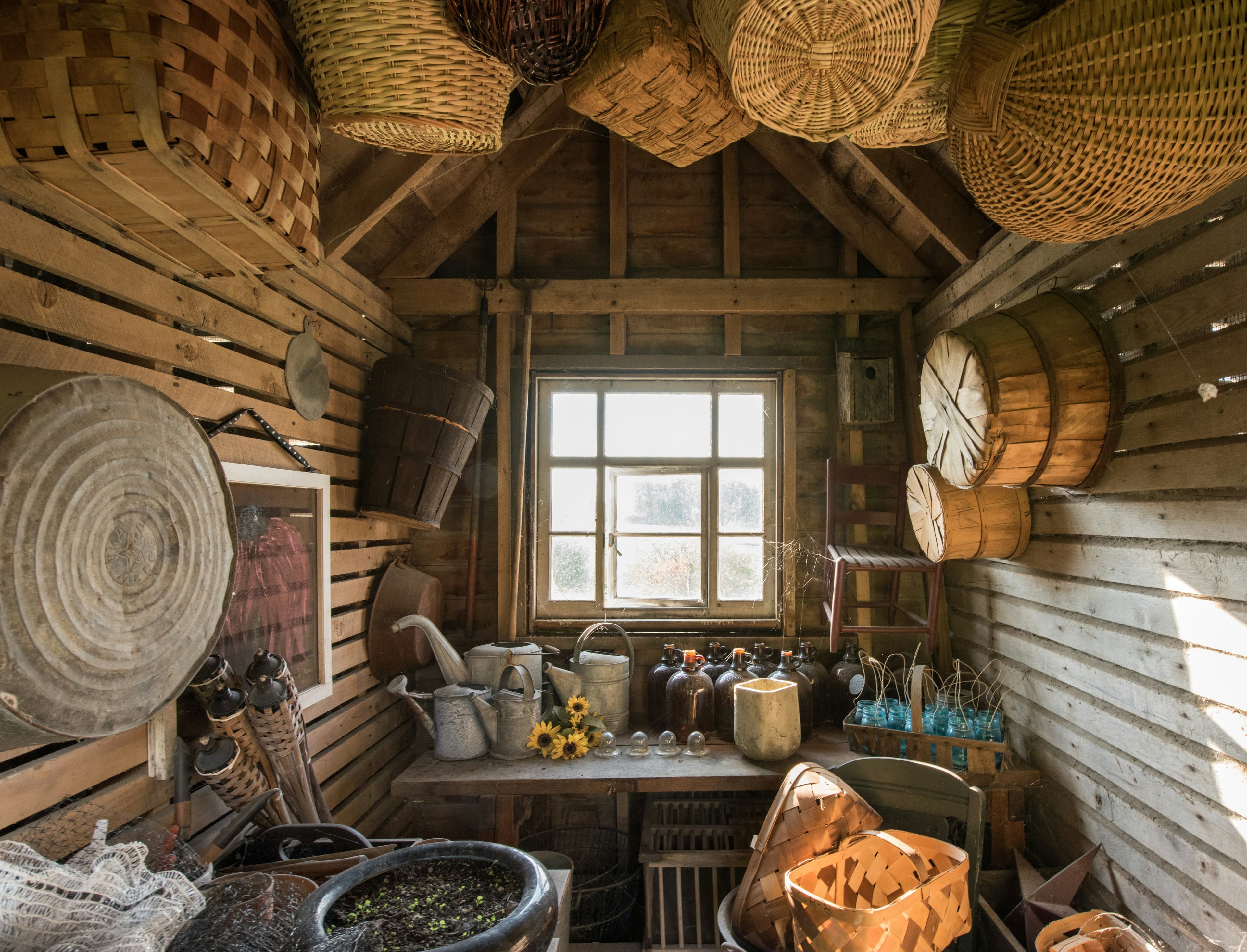 A sunlit garden shed hung with baskets and tools
